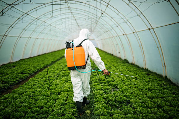 Best Pest Removal Services  in Emerald Lakes, PA